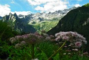 17 Monte Boris e cime d'Averta